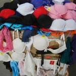 450 sous vêtements féminin