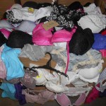 450 sous vêtements féminin