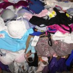 450 sous vêtements féminin