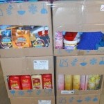 produits et accessoires d'entretien ménager tapettes, désodorisant, lessive, nettoyant multisurfaces, lingettes, etc