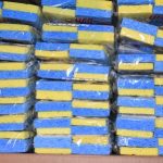 carton de 72 paquets de 4 éponges